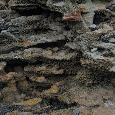thumbnail: IMG_0018.jpg
